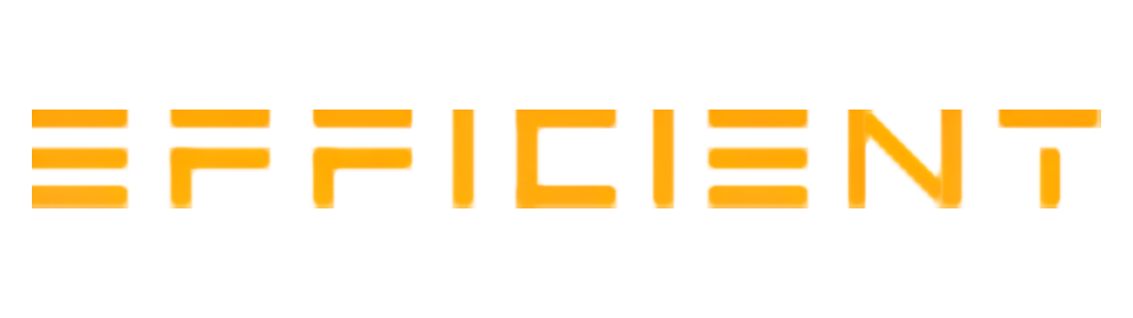 Efficient Computer